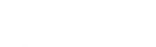 store-sg-assistenza-logo-big-light